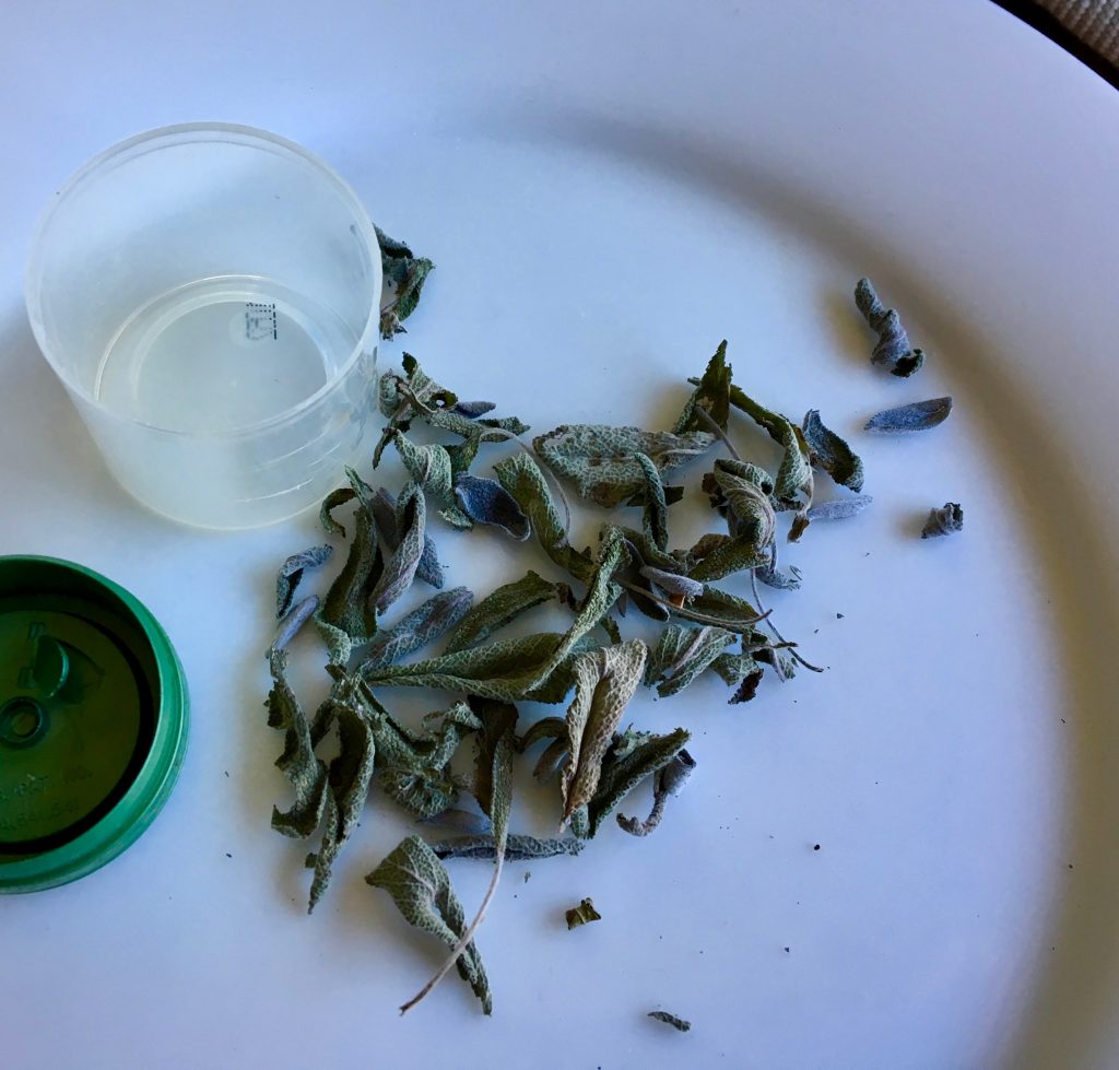 dried sage on a white plate next to an empty spice cannister