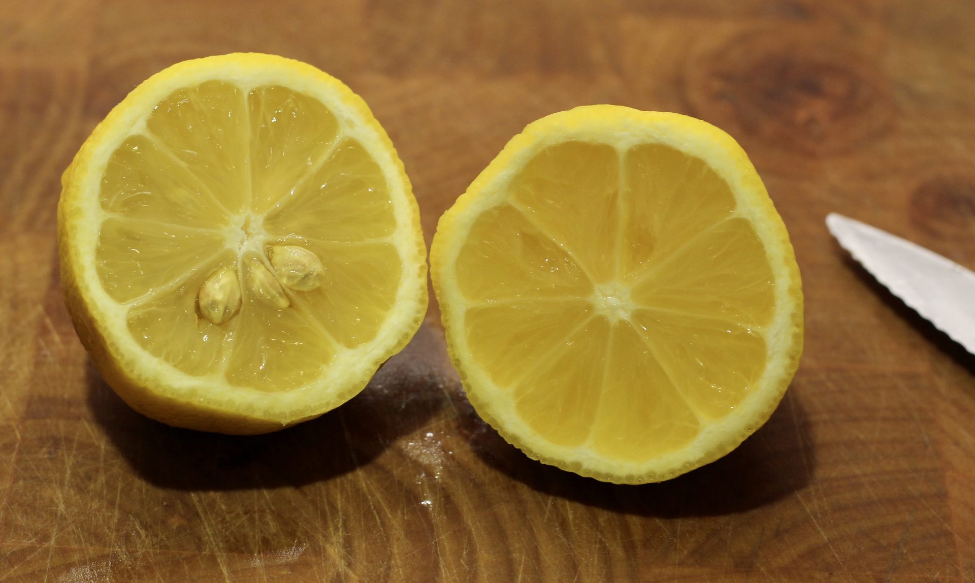How to Make Lemon Pulp Springhouse Turtle
