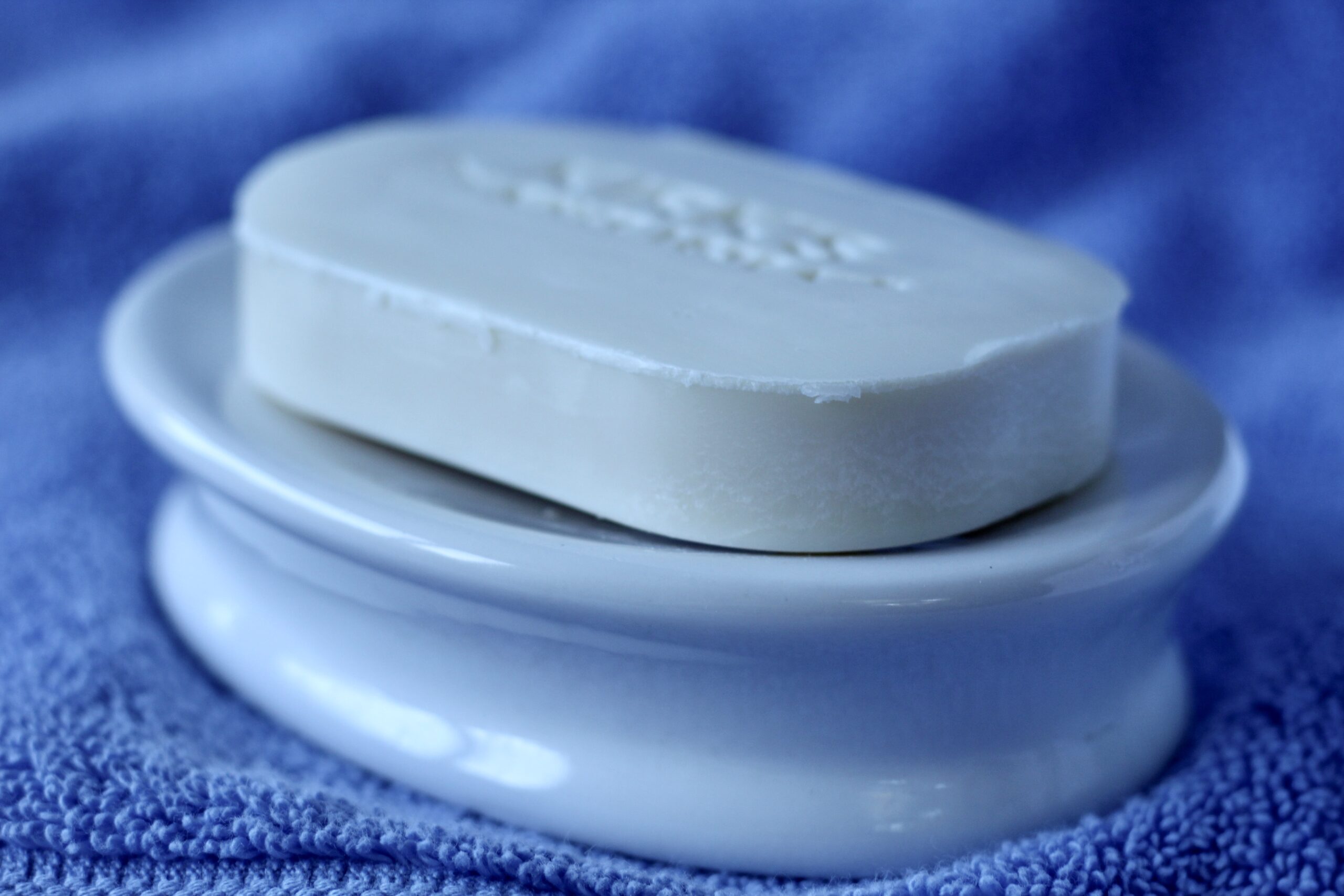 Why Skip the Soap in the Shower? Springhouse Turtle