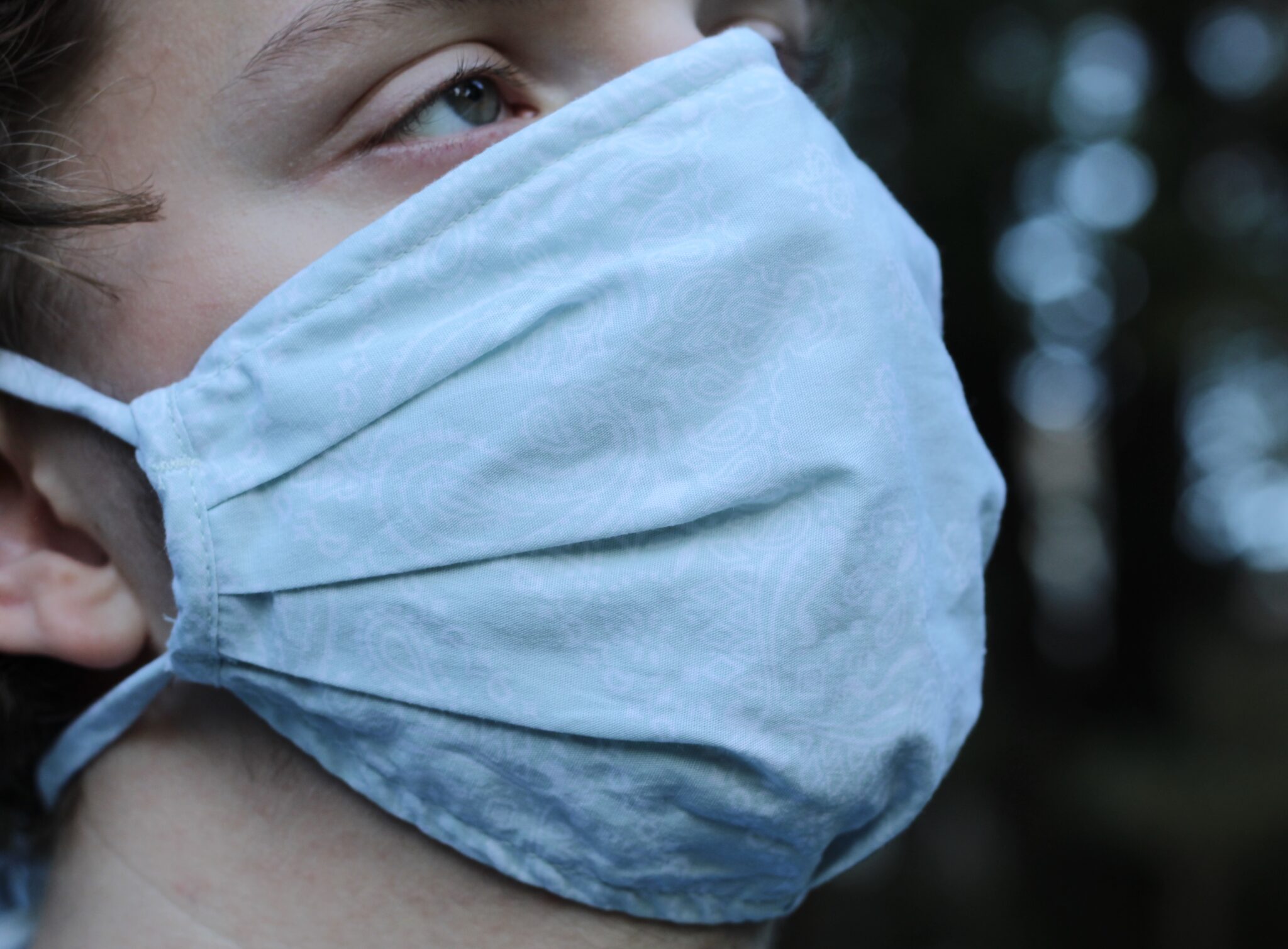 Fabric Face Mask Review, Part 2 Target Masks Springhouse Turtle