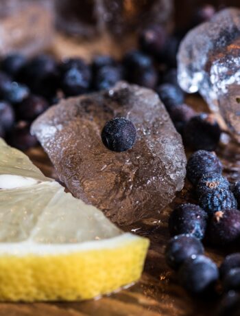 lemons and blueberries